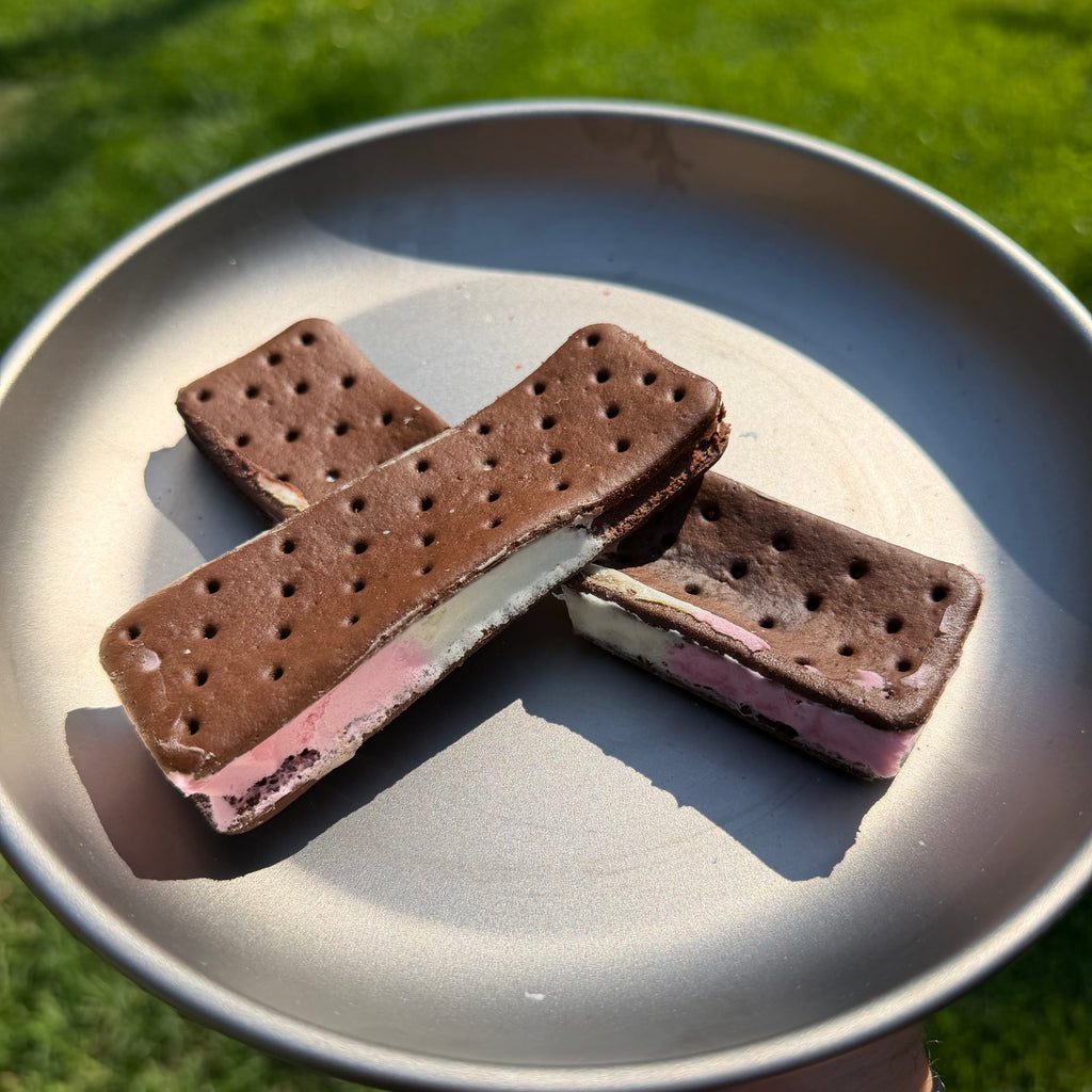 Ice Cream Sandwich