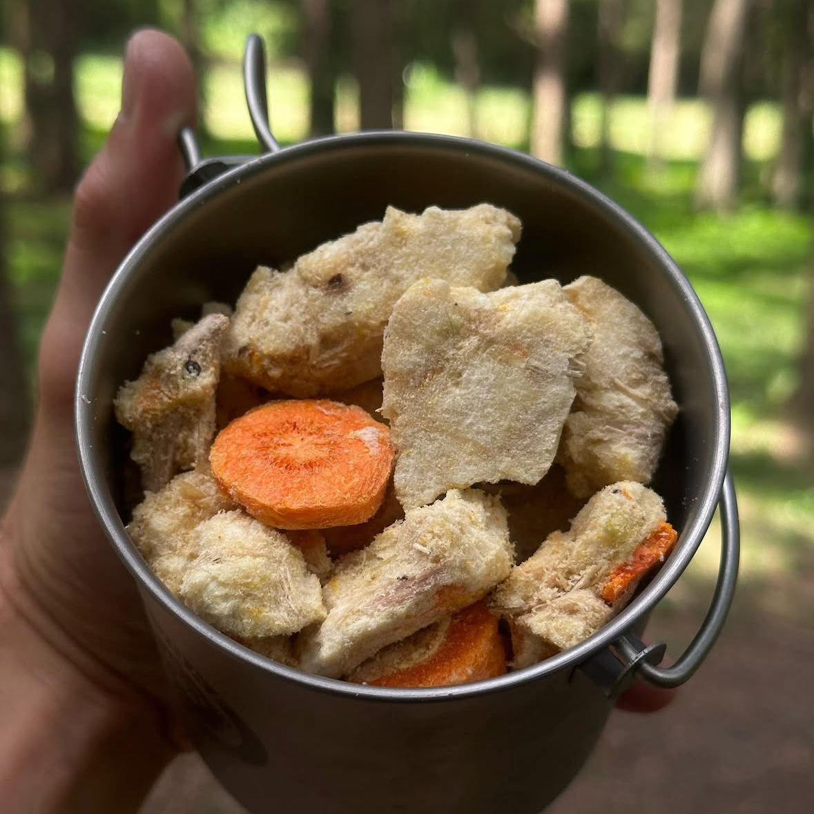 Chicken and Dumplings